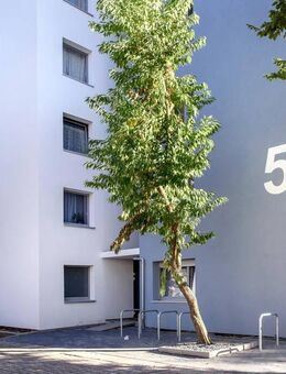 3-Zimmer-Wohnung in Koblenz Kartause - Koblenz