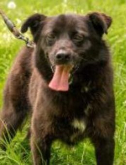 Liebevolle Nora - Ellerbek