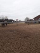 1 Platz für eine Stute in unserem privatem Stall frei in 27624