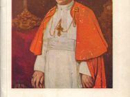 Broschür von Josef Gorbach DER ELFTE PIUS Illustrierte Papstschrift für das Volk - Zeuthen