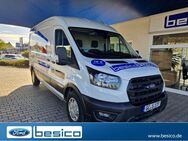 Ford Transit, Kasten 350 L3 Trend, Jahr 2023 - Glauchau