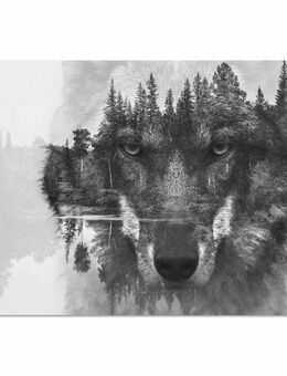 Home affaire Acrylglasbild Wolf, Baum, Baumbilder, Schwarz-Weiß, See, Seebilder, Seelandschaft, Tiere, Wildtiere, Wolfbilder, Yosemite Nationalpark, Fine Art-Print in Galeriequalität