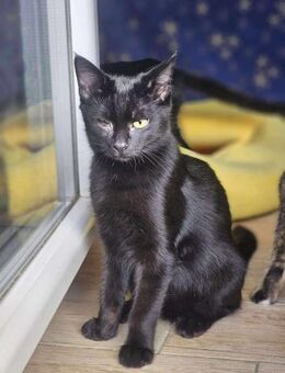 Kuschelige Anna - Margetshöchheim