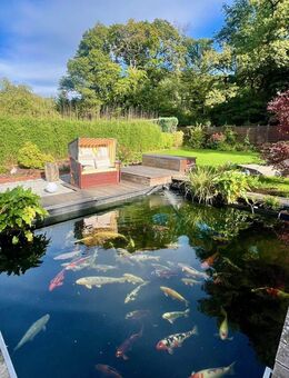 Schlangenbad-Hausen v.d.H.: Ein Einfamilienhaus der Extraklasse in Waldrandlage! - Schlangenbad