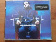Rammstein CD Engel mit Sticker Richard Kruspe R Herzeleid Sehnsu - Berlin Friedrichshain-Kreuzberg