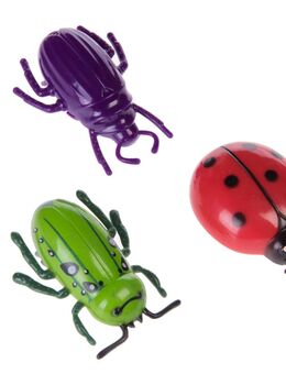 Katzenspielzeug Insekt - 3er Set