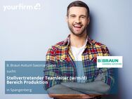 Stellvertretender Teamleiter (w/m/d) Bereich Produktion - Spangenberg