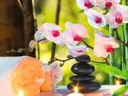 Massage Wellness Entspannung Wohlfühlen - Freudenstadt