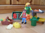 PLAYMOBIL ~ Obstabteilung - Usingen