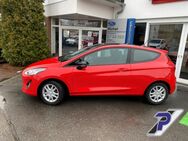 Ford Fiesta, Trend PPS HI KONTRAST-PAKET BEH FRONTSCHEIBE, Jahr 2019 - Rochlitz