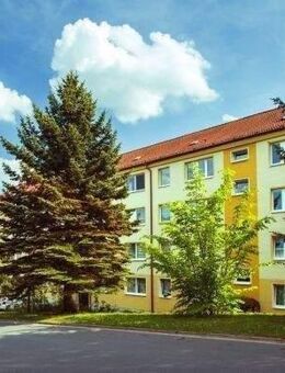 Meine 4-Raum-Wohnung im Borntal - Sondershausen