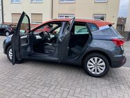 Seat Arona 1.6 TDI Start&Stop/LED/SitzH/XCELLENCE/DSG - Ludwigshafen (Rhein)