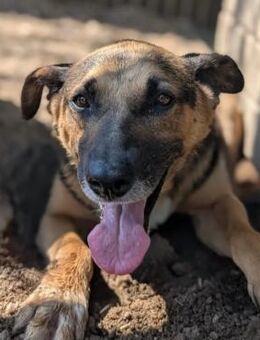 süsser Senior Jürgen - Kallmünz