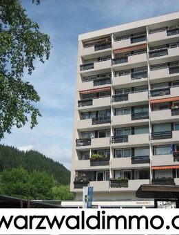 Hochwertig renovierte 1 Zimmerwohnung im Zentrum von St. Blasien - Sankt Blasien