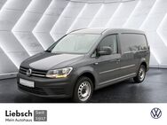 VW Caddy, 2.0 TDI Maxi Trendline, Jahr 2018 - Lübben (Spreewald)