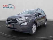 Ford EcoSport 1.0 ECOBOOST COOL&CONNECT+AHK+NAVI+ - Schnaittach