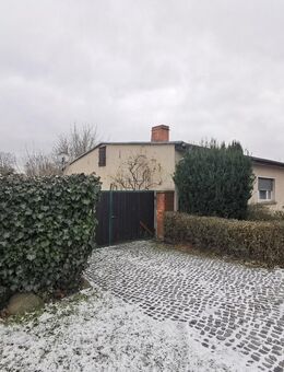 Ruhe, Natur, Freiraum - Ihr neues Zuhause im malerischen Oderbruch - Küstriner Vorland