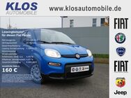 Fiat Panda, 1.0 HYBRID GSE 70PS CITY PAKET, Jahr 2024 - Dreieich