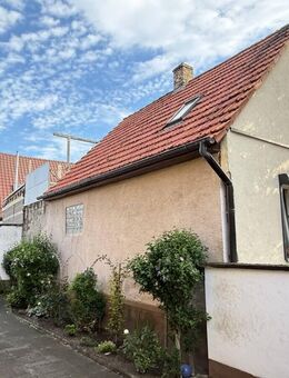 EFH am Rande von Wattenheim - Biblis
