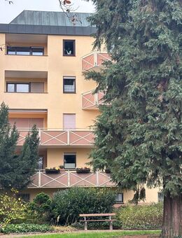 Exclusive 3-Zi. ETW am Kurpark - Bad Kissingen