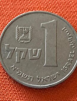 Münze Münzen Umlaufmünze Israel 1 Schekel 1981 - Alzey