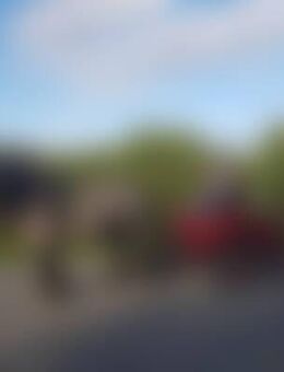 Kal*** - Burbach (Nordrhein-Westfalen)