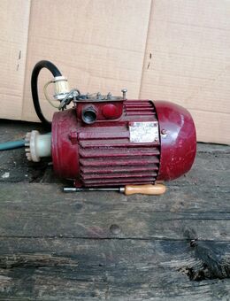 Motor Orpu SK 32/2/3 Gartenpumpe Kreiselpumpe - Kirchberg (Sachsen)