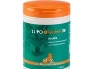 LUPO Gelenk 20 Pulver - 600 g