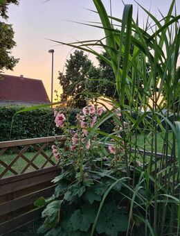 schöne Erdgeschosswohnung mit Terrasse in Rampe - Leezen (Mecklenburg-Vorpommern)