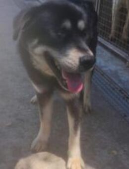 Heldin Aurora - Ellerbek