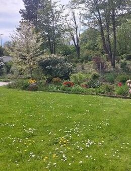 Massiv gebautes 3 Familienhaus, alle WE renoviert, sehr gute Lage, unterkellert, 2 Garagen, Stellplätze am Haus...39.840€ Jahresmiete - Grünstadt