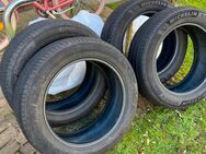 4x Sommerreifen Michelin 225/55 R 18 ohne Felge! - Hamburg