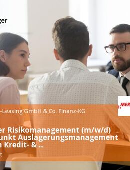 Mitarbeiter Risikomanagement (m/w/d) - Schwerpunkt Auslagerungsmanagement im Bereich Kredit- & Risikomanagement - Schweinfurt