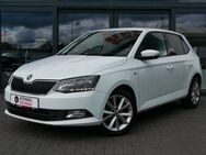 Skoda Fabia Clever ACC! DAB! ERSTE HAND! - Geisenheim