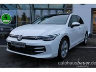 VW Golf, 1.5 TSI Life Golf VIII Life, Jahr 2024 - Wesseling