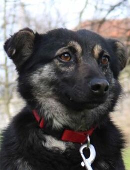 Hermida - hat einen Platz in ihrem Herze - Kissing