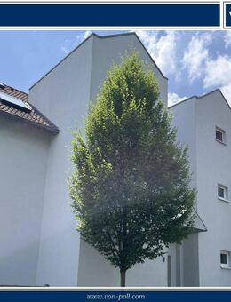 Smartes 1 Zimmer Appartement - mit Duplexparker - Rosenhöhe - - Offenbach (Main)