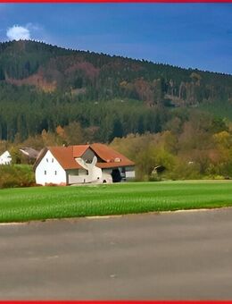 Wunderschönes Landhaus mit Nebengebäude, großem Garten und Wasserkraftwerk - Die Gelegenheit! - Waldmünchen