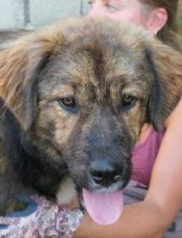 menschenbezogener, lieber Puiu - Kallmünz