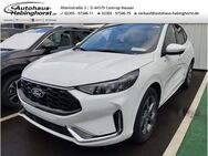 Ford Kuga, 1.5 EcoBoost Automatik ST-Line X digitales, Jahr 2024 - Castrop-Rauxel