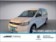 VW Caddy, 2.0 TDI Maxi Kombi Basis 90kW, Jahr 2024 - Schwerin