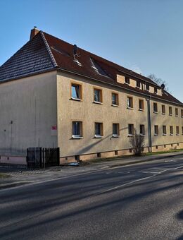 Lichtdurchflutete Singlewohnung in Regis-Breitingen ab sofort - Regis-Breitingen