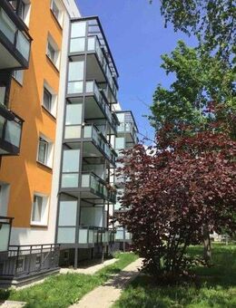 Neue Mieter gesucht! Küche und Bad mit Fenster! - Dresden