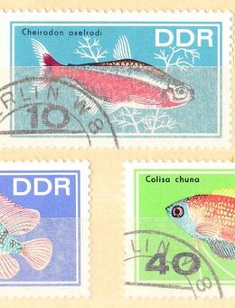 DDR Briefmarken Zierfische (427) - Hamburg