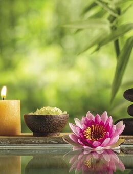 Wellnessmasseur hat noch freie Termine - Taucha