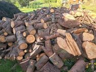 Holz zu verkaufen - Ottweiler