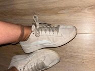 Beige Puma Schuhe - Limbach (Landkreis Westerwaldkreis)