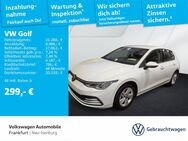 VW Golf, 2.0 TDI VIII Life ", Jahr 2024 - Neu Isenburg