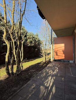 Für Singles: Helle, gepflegte 1-Zimmer-Wohnung im Erdgeschoss, mit Küchenzeile und Terrasse - Paderborn