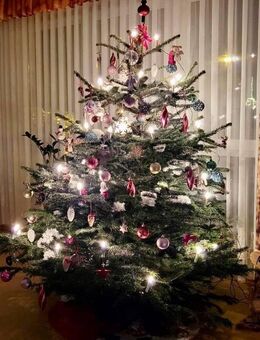 GENIESSEN SIE IHR FAMILIENWEIHNACHTEN 2026 IN IHREM NEUEN HAUS IM GRÜNEN! TEL. 01714863595 - Eibenstock